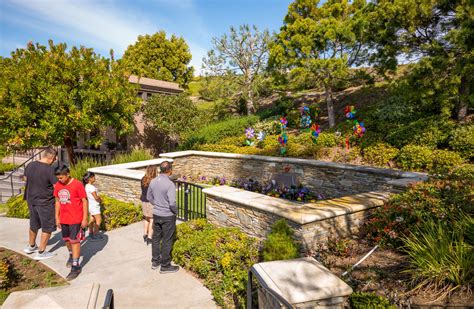 Kobe Bryant Fans Are Bombarding the Wrong Cemetery Plot, Causing Havoc at a California Gravesite