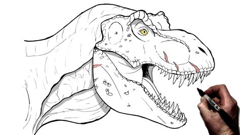 T rex dinosaur drawing - fotolua