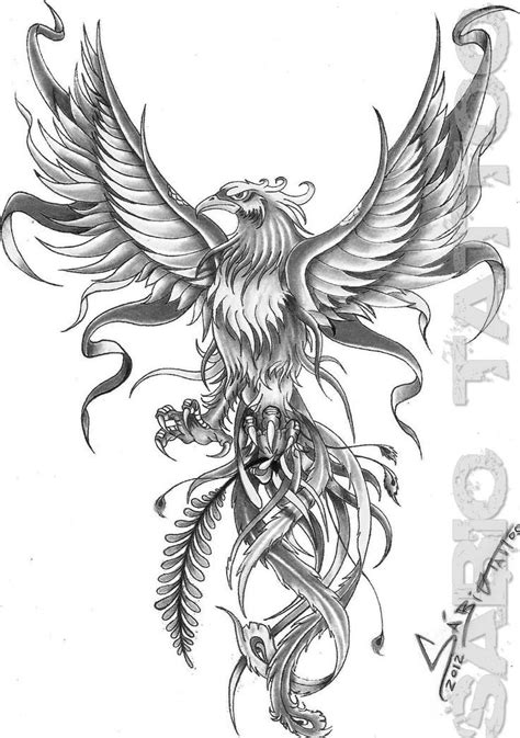 Related image | Phoenix bird tattoos, Phoenix tattoo design, Phoenix tattoo