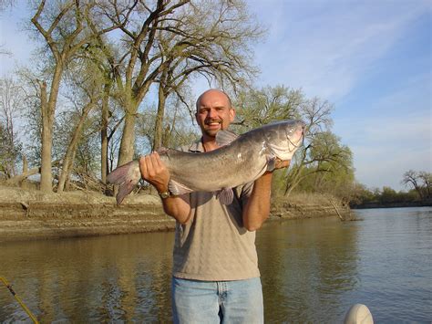 Red River Catfish 2005 Photos