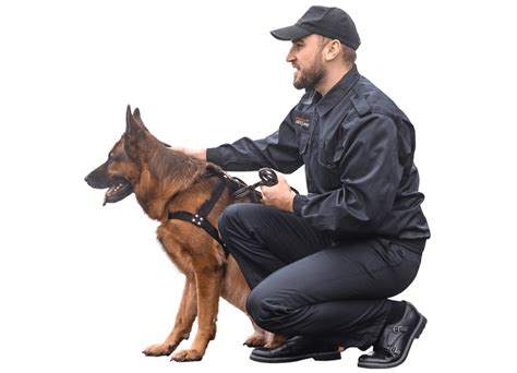 Security Dogs | Prime Secure | Security Solutions for Construction ...