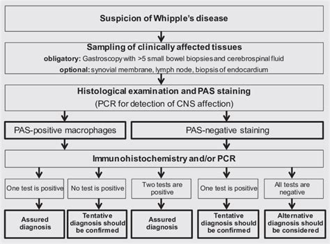 Diagnostic algorithm for the detection of Whipple's disease (modified ...