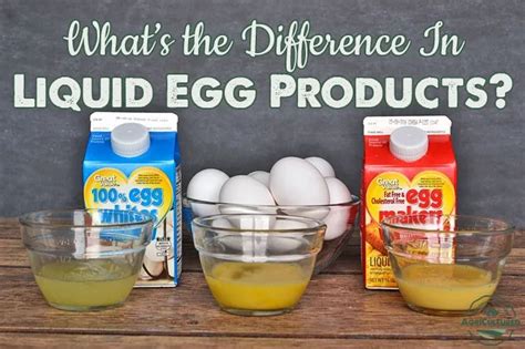 What's the Difference in Liquid Egg Products? - My Fearless Kitchen