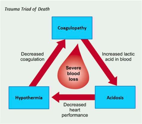 CFRN // Trauma Flashcards | Quizlet