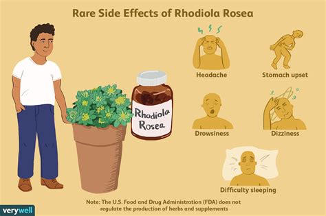 Rhodiola: Benefits, Side Effects, Dosage, and Interactions