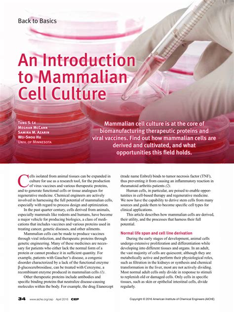 (PDF) An Introduction to Mammalian Cell Culture