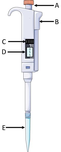 Student Activity for Learning How to Use a Micropipette