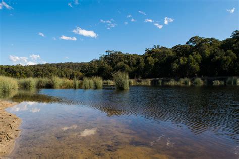 Thirlmere Lakes Loop, Wollondilly NSW - Pioneer Walks