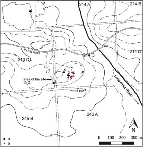 Białowieża Forest, Leśnictwo Postołowo Site 11. Location of the site on... | Download Scientific ...