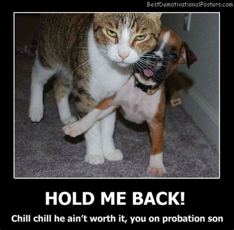 Hold Me Back - Demotivational Poster