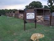 Welcome to Marshall Creek Ranch - The Best Trail Riding / Horseback riding in DFW - Dallas ...