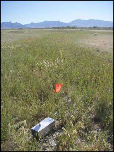 rodent_trap_in_field-with-black-border - H. B. Sherman Traps - Live ...