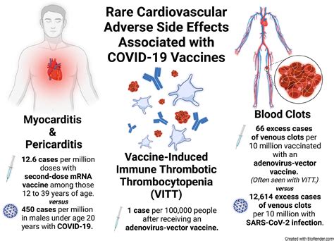 Vascular Disease Patient Information Page: Vascular considerations with COVID-19 vaccines ...