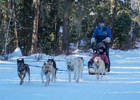 Waskesiu Saskatchewan in the Winter - Must Do Canada