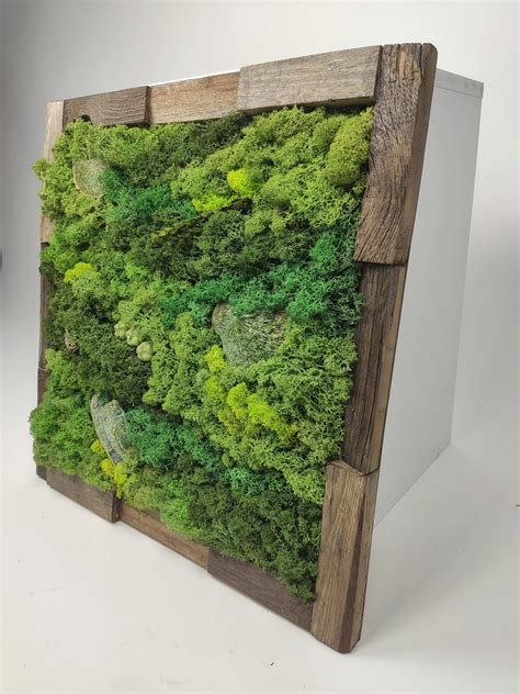 Moss Wall Decor, Moss Wall Art, Wall Art, Moss Art, Moss Wall, Vertical Wall Art, Wall Hanging ...