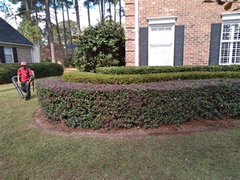 Ever So Green Lawn Care Services in Fayetteville, NC