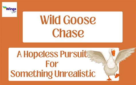 Wild Goose Chase Meaning, Examples, Synonyms | Leverage Edu