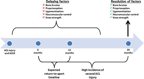 A timeline of recovery indicated in the literature and presented in ...