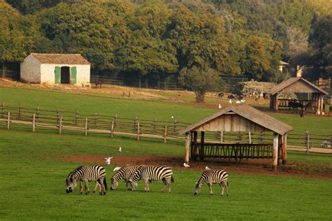 Safari park (zoo) in Brijuni National Park | Brijuni National Park