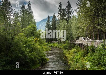 Fish Creek Bear Viewing Platform, Hyder, Alaska Stock Photo - Alamy