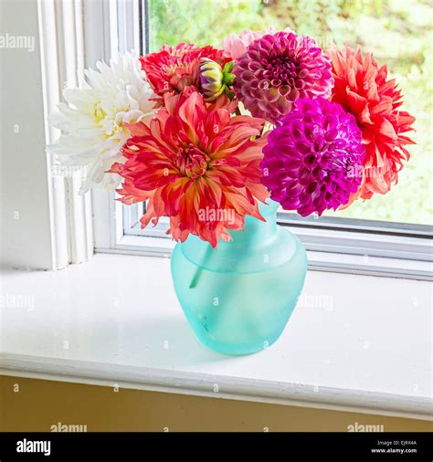 Dahlias vase hi-res stock photography and images - Alamy