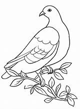 20  Pigeon Coloring Pages Free Printable PDF & Online sketch template