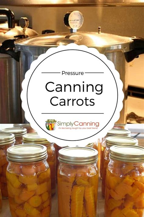 Canning carrots at home make for really quick meals. Heat and serve!