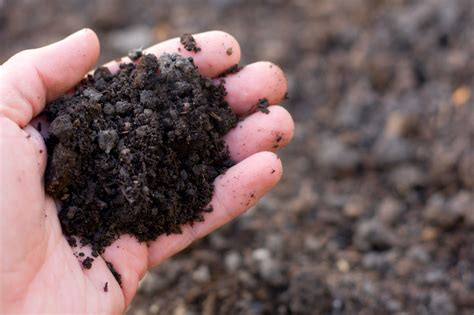 Soil organic carbon – the most precious substance on the planet | Open Access Government