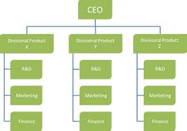 Types of Organizational Structure – Business and Management