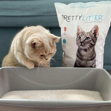 Pretty Litter Review - Must Read This Before Buying