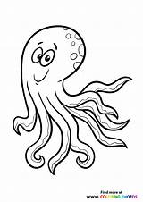 Octopus With Dots  Coloring Pages For Kids sketch template