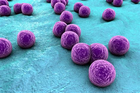 What are Staph Infections? | Open Systems Healthcare