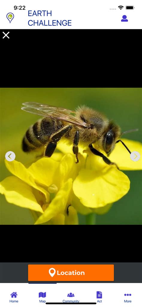 Bee Conservation Toolkit - Earth Day