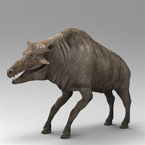 entelodont pigs 3d model