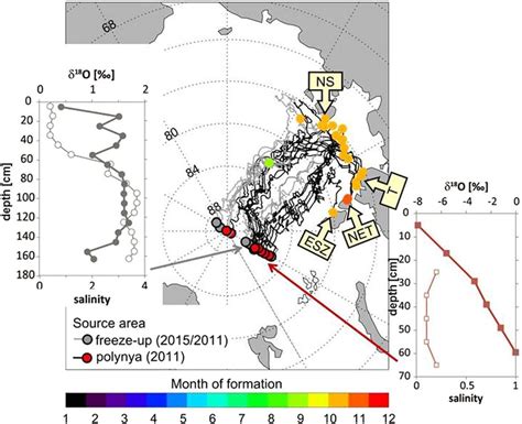 Sea ice drift trajectories leading to the 60°E section and δ 18 O... | Download Scientific Diagram