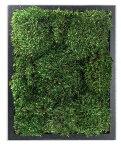 Live Mood Moss Wall Art in White, 11x14, Artificial Moss