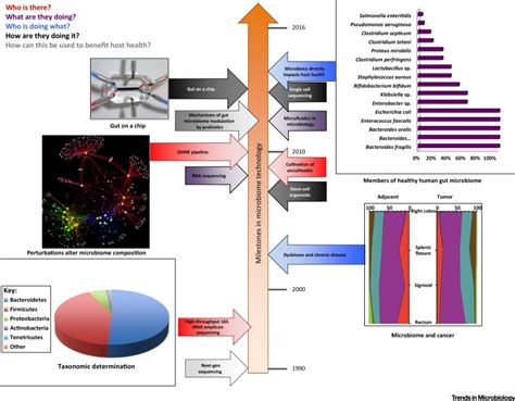 Emerging Technologies for Gut Microbiome Research: Trends in Microbiology