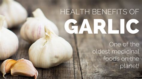 Garlic Clove - Garlic clove benefits | Single clove garlic | Benefits | Raw garlic clove - YouTube