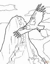 California Condor In Zion coloring Page  Free Printable Coloring Pages sketch template