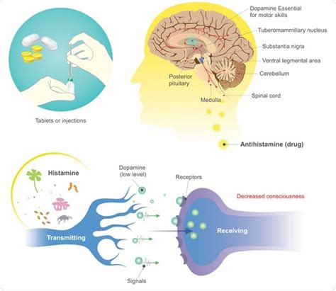 Antihistamine Side Effects: When to Stop Taking Allergy Medication – Regenerative Medical Group