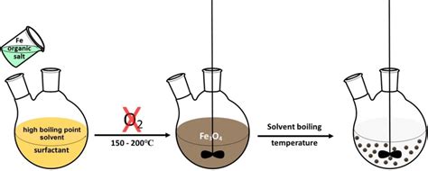 Synthesis of magnetite nanoparticles by thermal decomposition. | Download Scientific Diagram