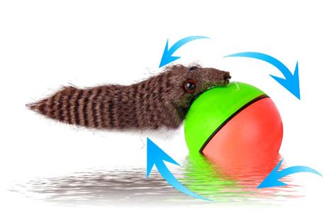 Beavers Ball™- Motion Ball Toy for Pets