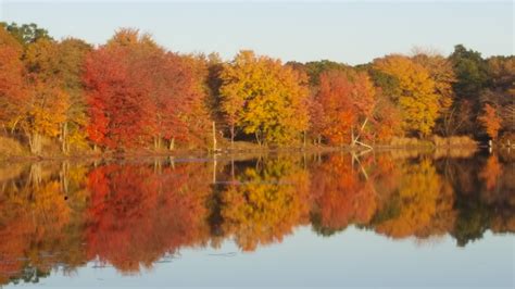 Poconos Fall Foliage Report 2019 - #5 - Lehigh Gorge Scenic Railway | Pocono Bike Rental