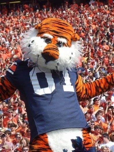 17 Best images about Aubie on Pinterest | Alabama, College football and ...