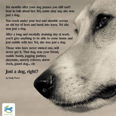 365 best DOG HEAVEN AND PET LOSS images on Pinterest | Pets, Dog loss quotes and Pet quotes