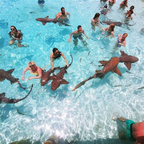 Top Things to do in Exuma Bahamas: The Ultimate Guide | Diana's Healthy Living