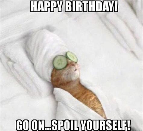 101 funny cat happy birthday memes – Artofit