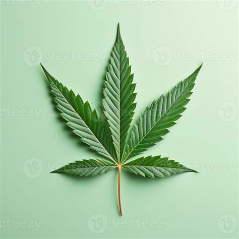 Cannabis leaf on a light background. Generative AI 27444459 Stock Photo at Vecteezy