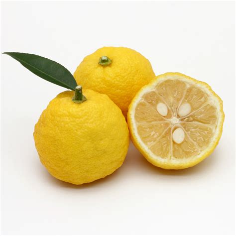 Yuzu (Japanese citrus fruit) – J-Scent Global