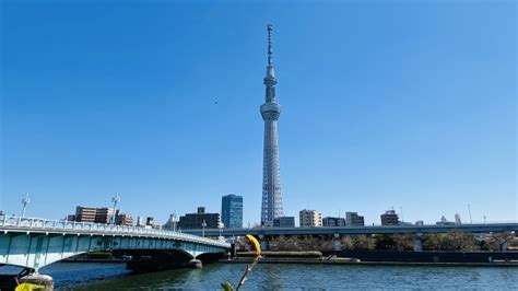 Tokyo Skytree: A Sky-High Adventure for Foreign Travelers in Japan ...